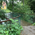 Bron vid Skogsgläntan