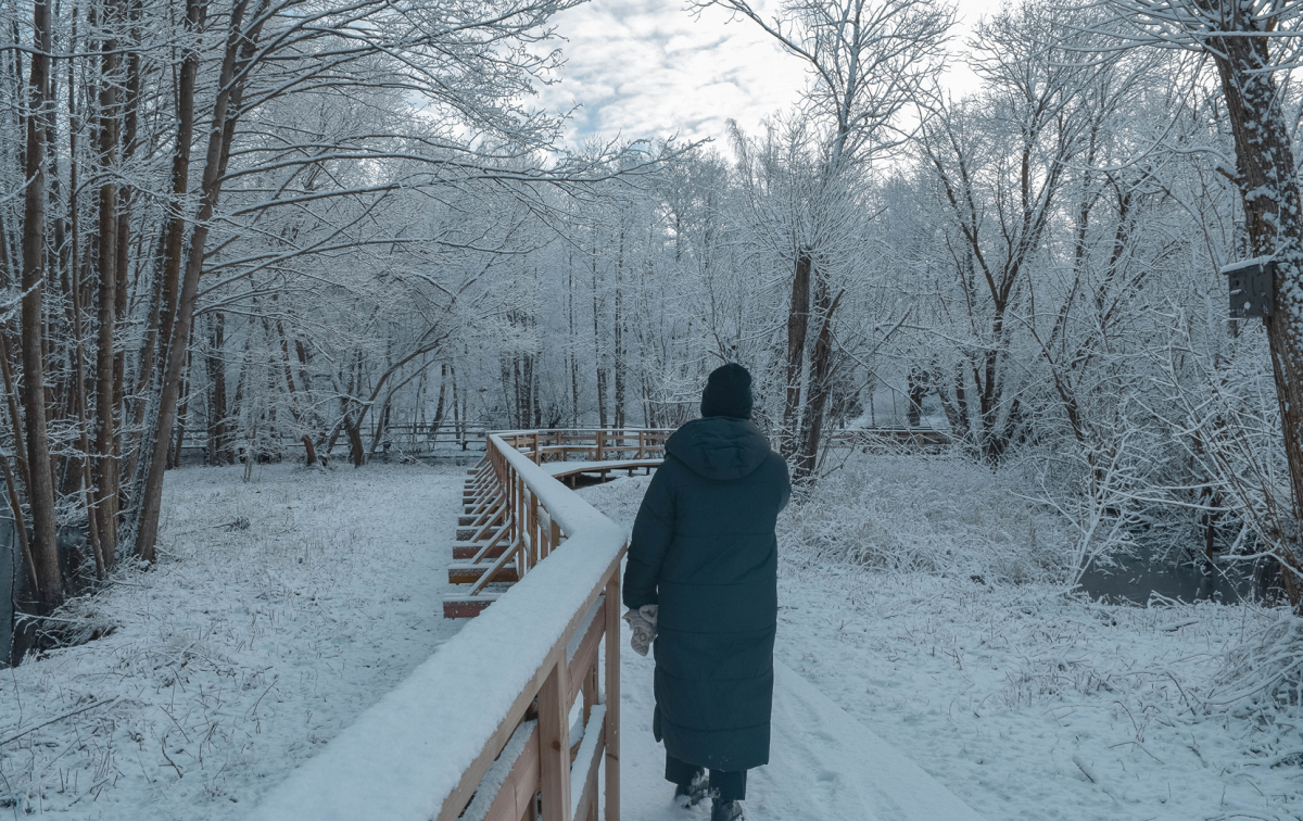 Bilden visar en person som går längs med ett snötäckt Ödet i Torsås. På träden är grenarna vita av snö lika så är marken täckt av snö.