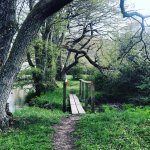 Bilden visar en vandringsled i Torsås