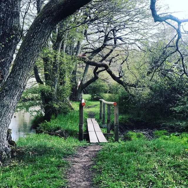 Bilden visar en vandringsled i Torsås