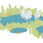 Illustration över insjöar och dess miljö.