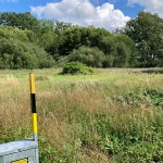 Kommunen återskapar ”svämplan”